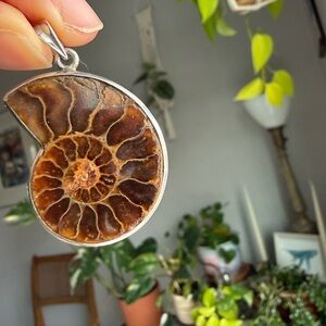 Ammonite Pendant and earrings